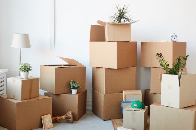 move in out