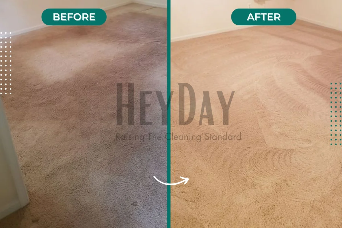 Carpet Cleaning Services Dubai Professional Carpet Cleaning Services